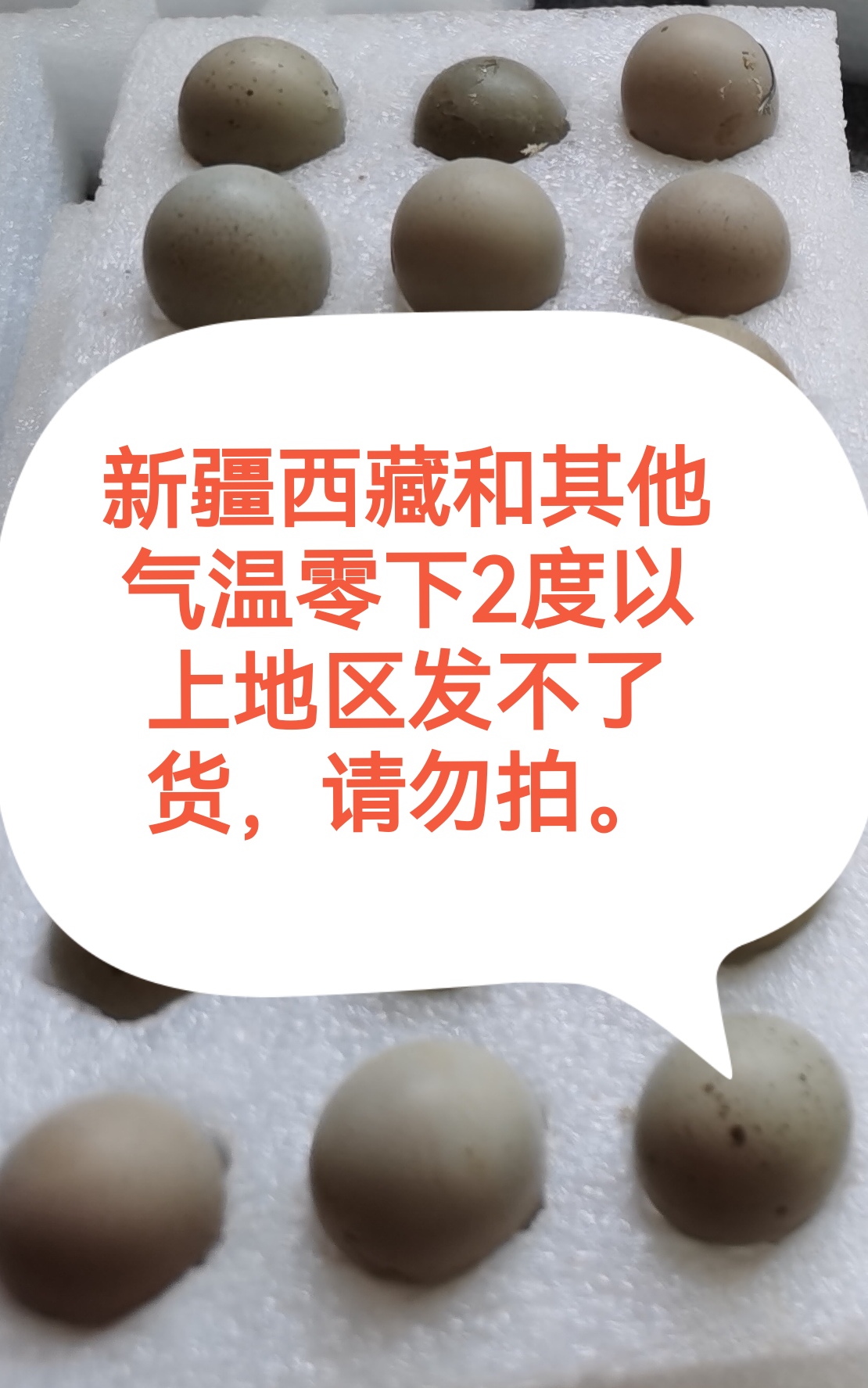 迷你宠物鸡蛋可孵化受精蛋1件10个，送8，共发18个