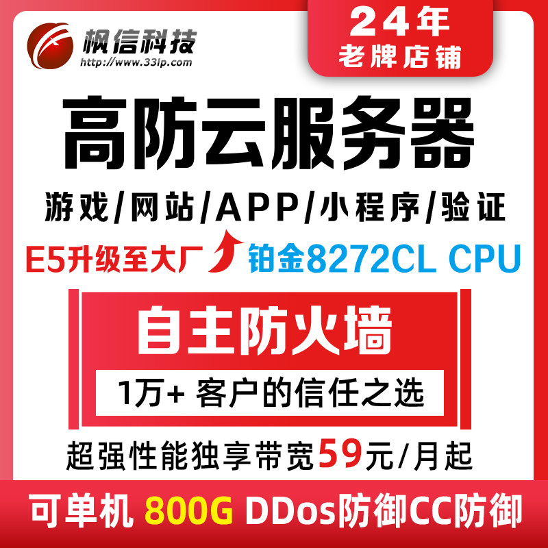 高防云机BGP五线独立物理服务器租用传奇微端网站页游戏秒解试用