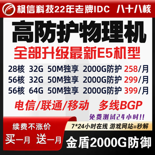 传奇幻兽帕鲁高防i9服务器租用88核BGP微端游戏网站E5物理机秒解