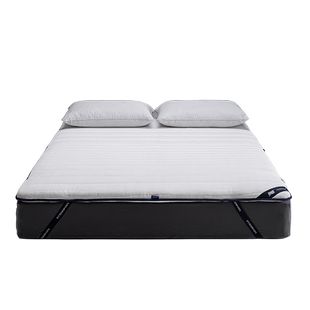 安睡宝蓝朋友吸湿发热冬季磨毛乳胶双面家用两用学生宿舍单人床垫