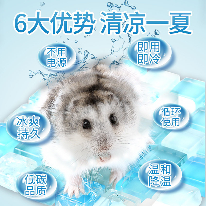 仓鼠非洲迷你刺猬松鼠冰垫凉席降温板冰床散热垫隔热夏季宠物降温