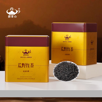 【碧雾山荒野红茶】武夷山桐木关特级春茶花果香正山小种罐装500g