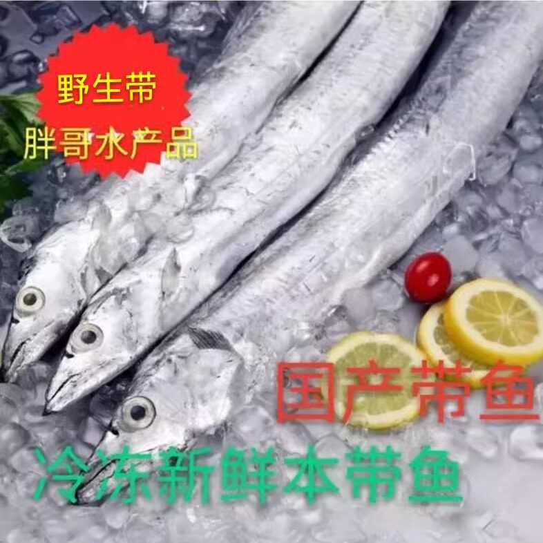 冷冻东海野生新鲜 带鱼 小眼带鱼 大带鱼 八斤一箱带冰近可包邮