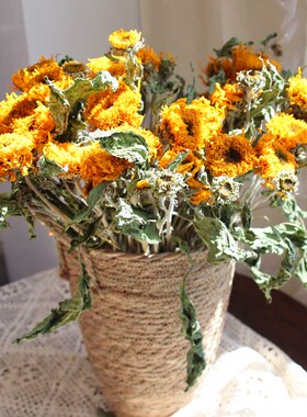 云南干花向日葵真花风干花束