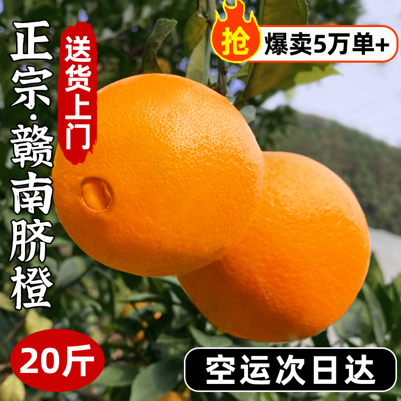 江西赣南脐橙20斤鲜橙子新鲜水果冰糖果冻当季橙10整箱包邮褚