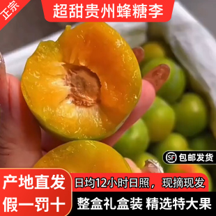 正宗贵州安顺蜂糖李脱骨李子新鲜当季水果脆甜现摘现发礼盒装5斤