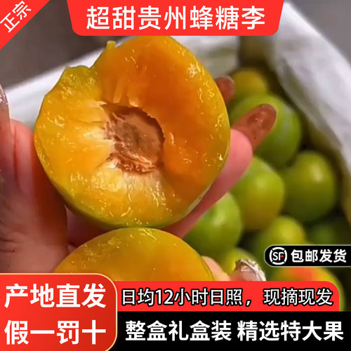 正宗贵州安顺蜂糖李现摘现发