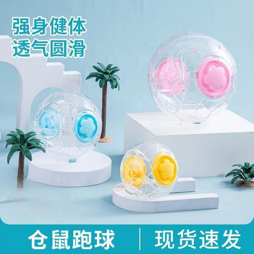 仓鼠玩具跑步球金丝熊跑球滚轮小宠用品大全运动球外带球外带包