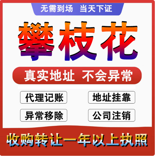 攀枝花米易盐边仁和公司个体户注册代账变更注销营业执照减资变更