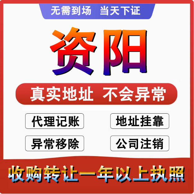 资阳雁江安岳乐至公司个体户注册代账 变更注销营业执照 减资变更