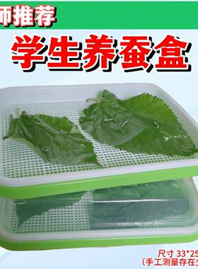 学生养蚕套装蚕宝宝彩色蚕结茧养蚕仓用品初学者饲养工具科普