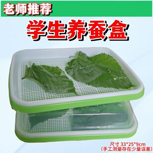 学生养蚕套装蚕宝宝彩色蚕结茧养蚕仓用品初学者饲养工具科普