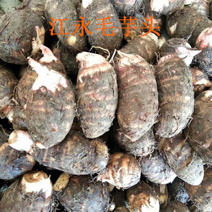 湖南永州特产江永毛芋头新鲜农家自种蔬菜小芋头红梗芋艿5斤包邮