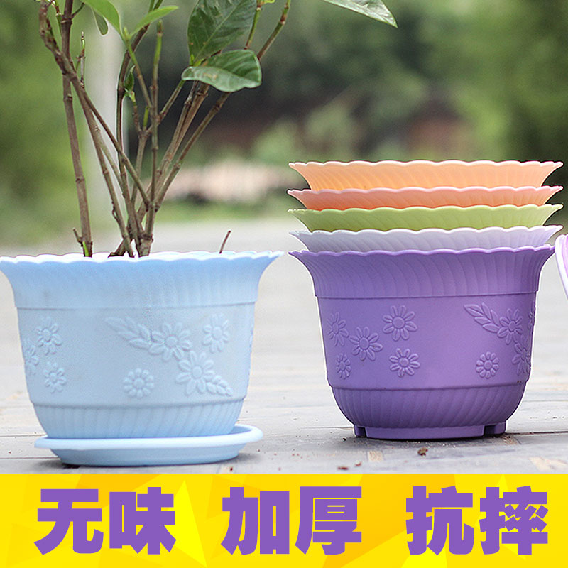阳台花盆塑料家庭绿萝白色托盘
