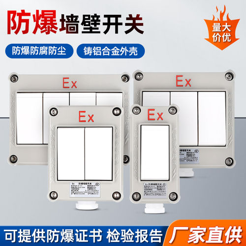 防爆墙壁开关220V10A86型照明开关工业防爆开关单联双控厂房插座