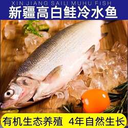 新疆赛里木湖高白鲑 冷水鱼皇后 有机【新疆顺丰包邮真空