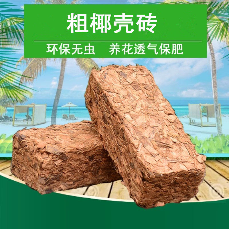 小椰壳砖500克无菌栽培基质月季绣球兰花石斛营养土6--12mm粗椰糠,鲜花速递/花卉仿真/绿植园艺,介质/营养土,淘宝优惠券,粉丝福利购,淘宝优惠卷