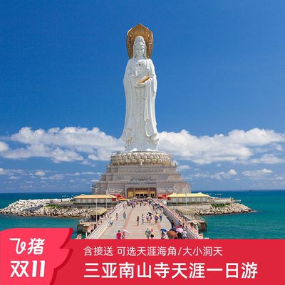 短标题三亚一日游南山海上观音