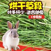 25年提摩西草干草兔子荷兰猪龙猫草主粮兔草头茬有穗草段烘干北提