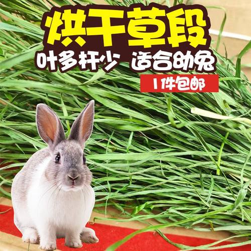 岷县绿源草场提摩西草段一件包邮