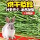 25年提摩西草干草兔子荷兰猪龙猫草主粮兔草头茬有穗草段烘干北提