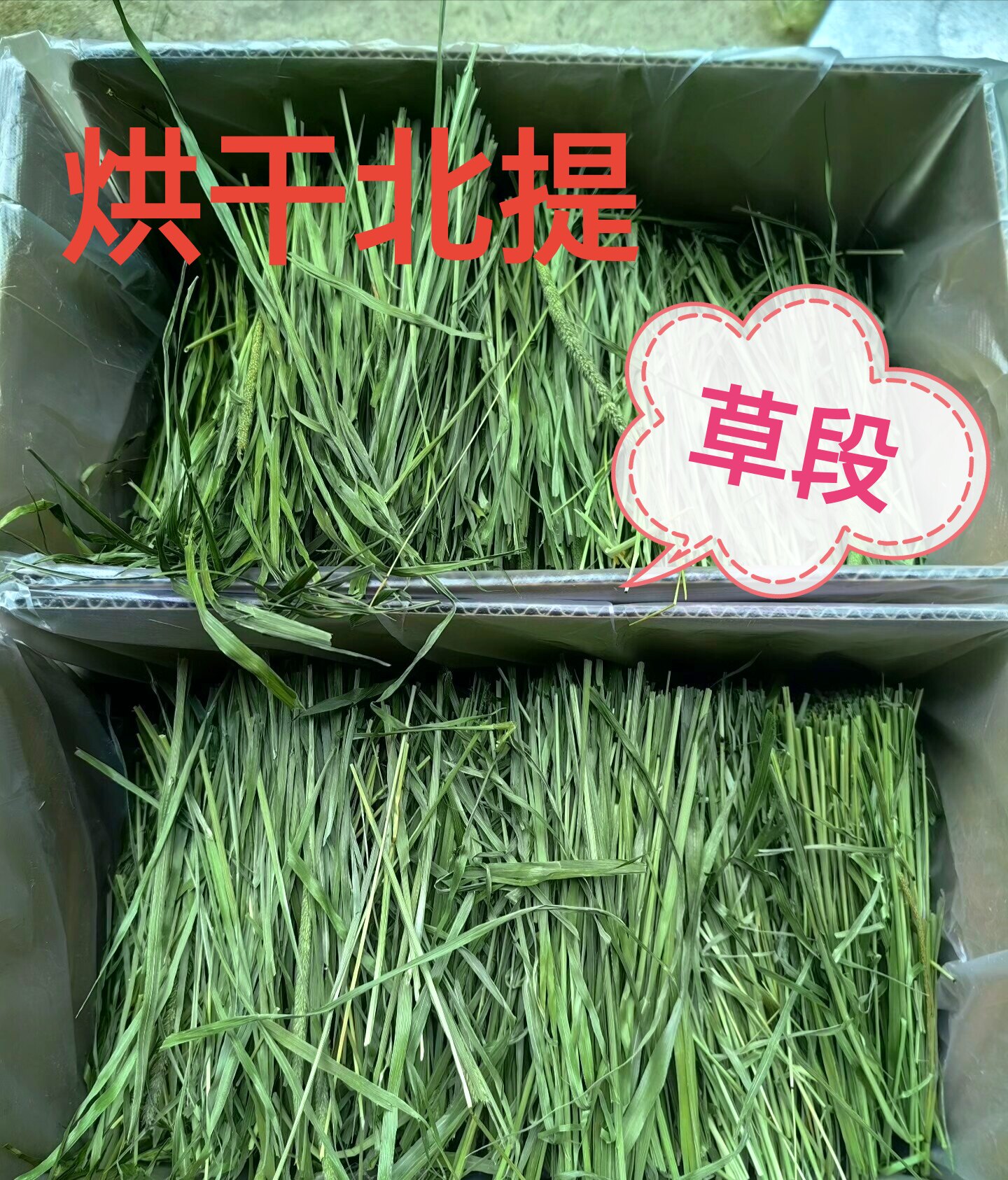 25提摩西草烘干切段一箱净1.5斤兔子龙猫荷兰猪牧草特级草段兔粮