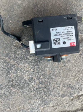 议价 LS继电器，型号GER040-STAASC0C01，12V