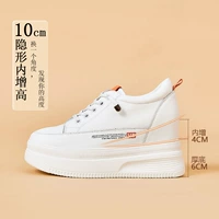 Белый апельсиновый высота на 10 см [кожаная поверхность]