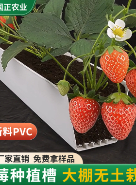 草莓种植槽pvc立体自带排水槽大棚无土栽培设备种植槽立体栽培架