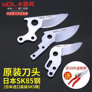 替换刀头园林剪果树剪刀树枝剪刀片 永德利修枝剪刀专用SK85钢原装
