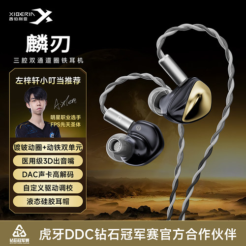 西伯利亚麟刃一圈一铁入耳式游戏耳机电竞hifi有线Type-C电脑专用