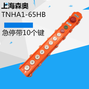 65HB 高档森奥TNHA1 COB 防水行车开关 起重行车按钮急停带1