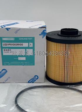 LG21P01003R100 YT21P01006R100 SN25083 SK3062柴油滤芯SFF6R10E