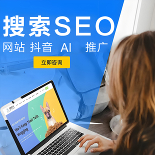 网站首页优化百度收录谷歌抖音seo排名360关键词快速照词搜索AI