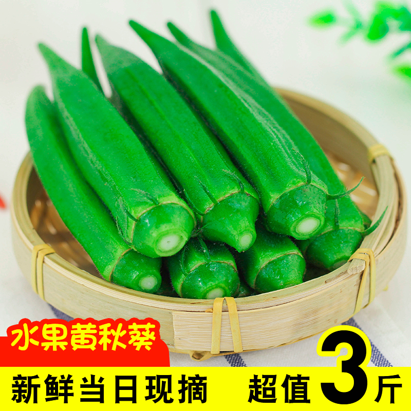 3 pounds Pollution fresh Open air Fresh fruit Okra Vegetables Guarantee to pay compensationsin the Aquatic meat/Fresh fruits and vegetables/Cooked , Fresh vegetables/Vegetable products , Okra  category - from Buy2taobao.com to provide professional Taobao agent buy service