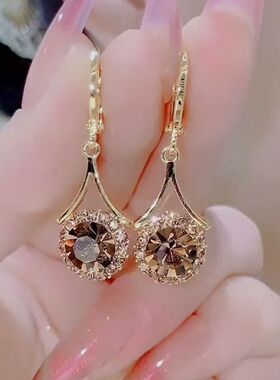 美拉德新款高级感轻奢微镶满钻金属圆形咖色气质优雅百搭韩式耳饰