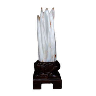 千蕊天然缅甸树化玉摆件 家居摆件 硅化木化石树化石实物多款