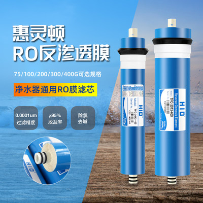 惠灵顿ro膜专用100g净水器滤芯