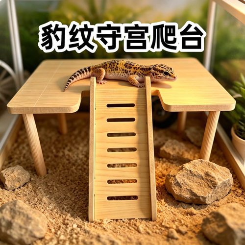 豹纹守宫U型木爬台躲避丰荣造景