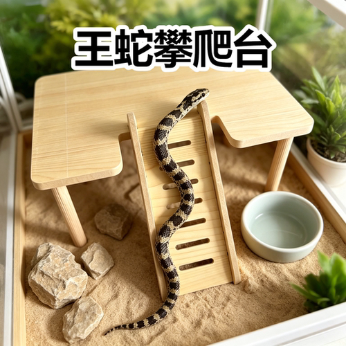 王蛇木质爬台爬架躲避豹纹睫角守宫蜥蜴小型爬宠攀爬玩具造景摆件