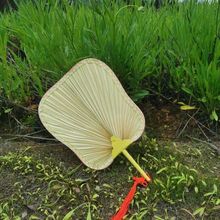 扇子夏蒲扇芭蕉团圆扇手工天然健康风大古风轻便老式 蒲扇驱蚊纳凉