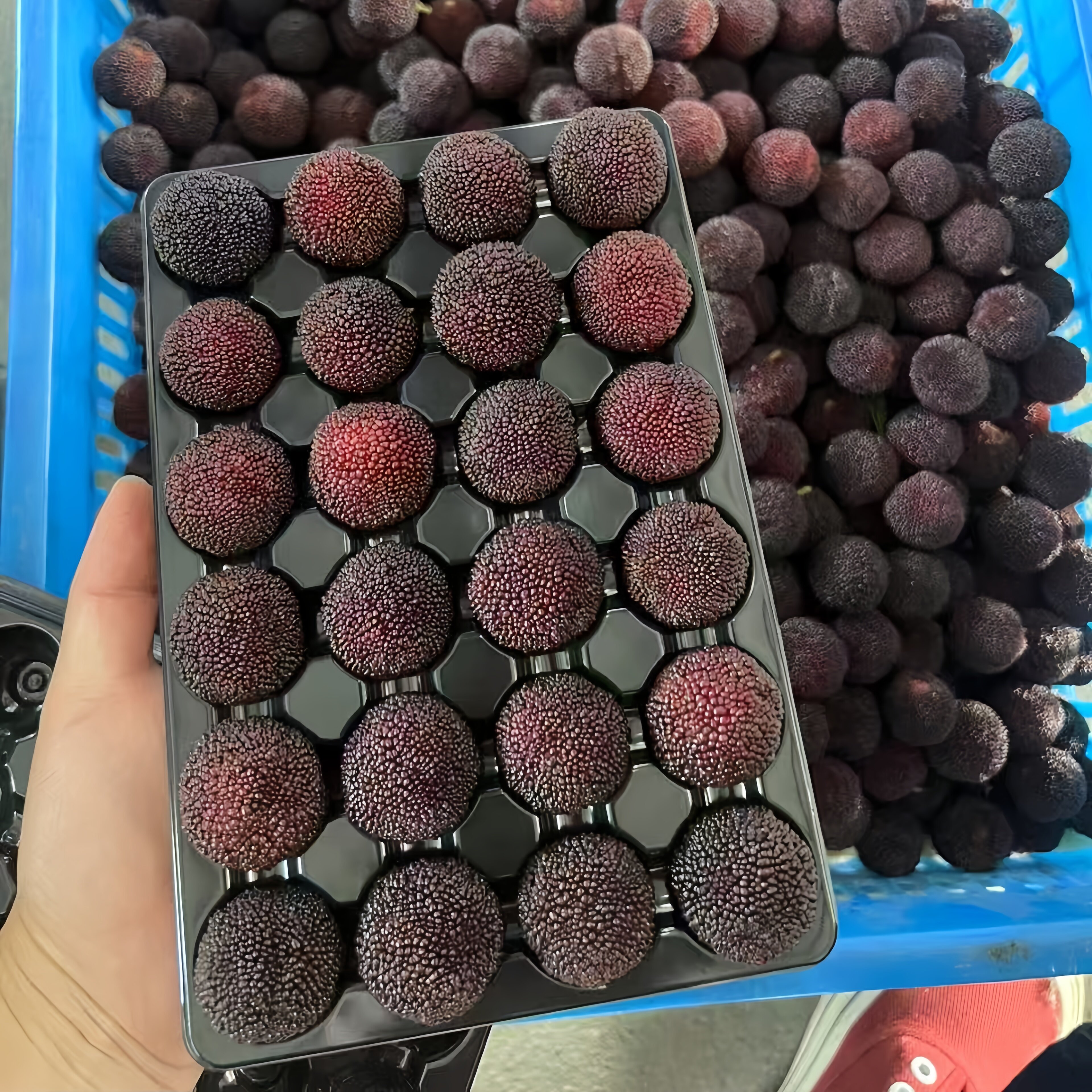 正宗云南杨梅荸荠黑炭新鲜现摘应季时令孕妇水果超甜礼盒装整箱