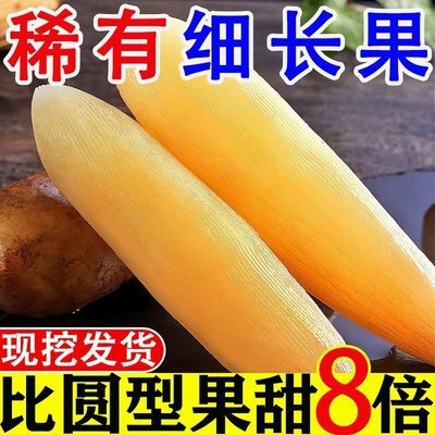 现挖整箱新鲜正宗雪莲果特级