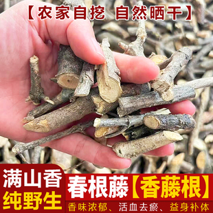 野生香藤根中药材春根藤晒干香根藤伸筋藤客家煲汤香味浓郁过山香
