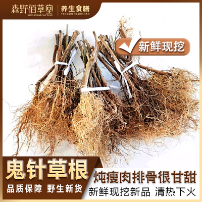 福建鬼针草头纯根500g
