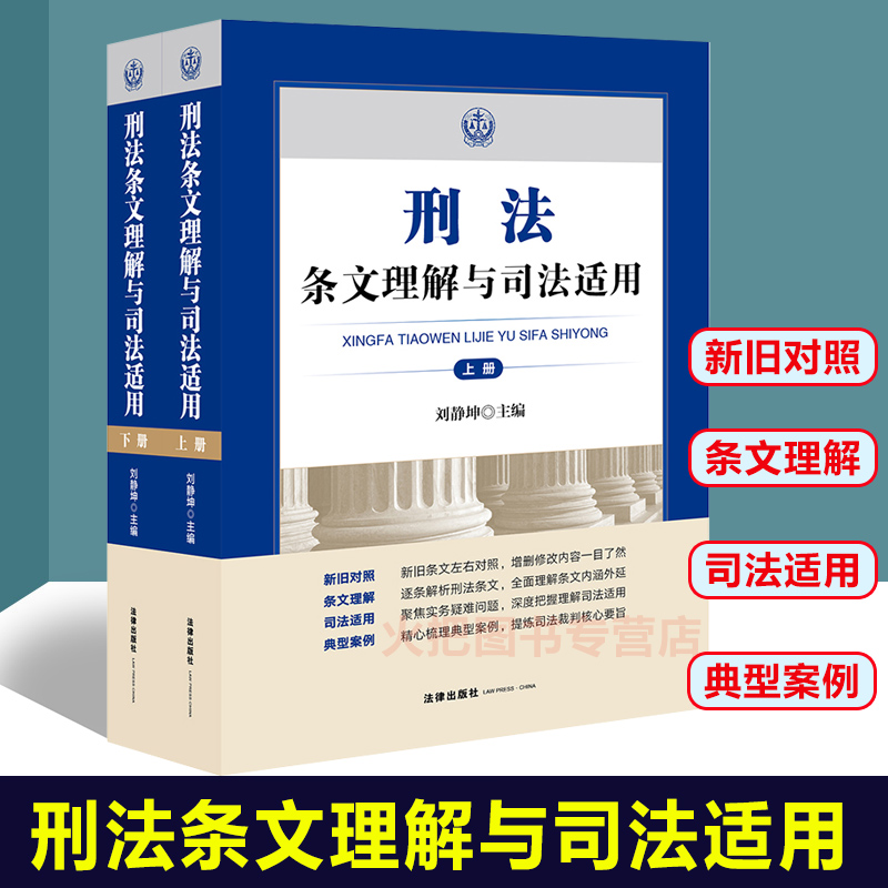 2021新刑法条文理解与司法适用上下册法律出版社新刑法修正案十一司法实务司法解释理解与适用法律法规工具书籍