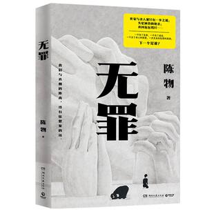 无罪悬疑黑马作者陈物高口碑代表作戏中戏无逻辑犯罪反转又反转随书附赠主题书签一张