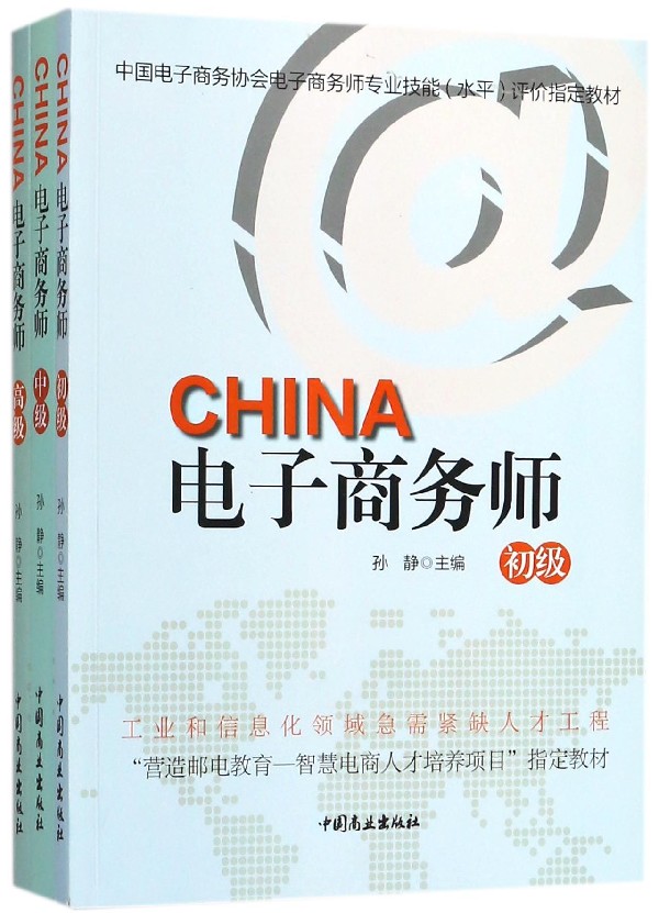 电子商务师(共3册中国电子商务协会电子商务师专业技能水平评价教材)