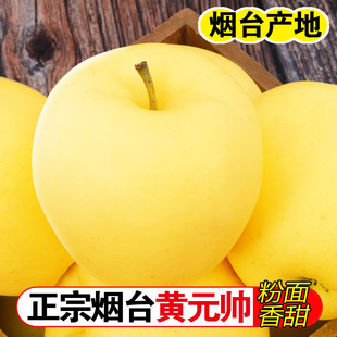 包邮 粉面黄香蕉刮泥新鲜水果黄金帅 帅苹果水果当季 烟台黄元
