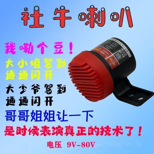 大小姐驾到通通闪开真人语音喇叭